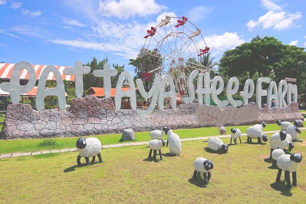 Pattaya Sheep Farm