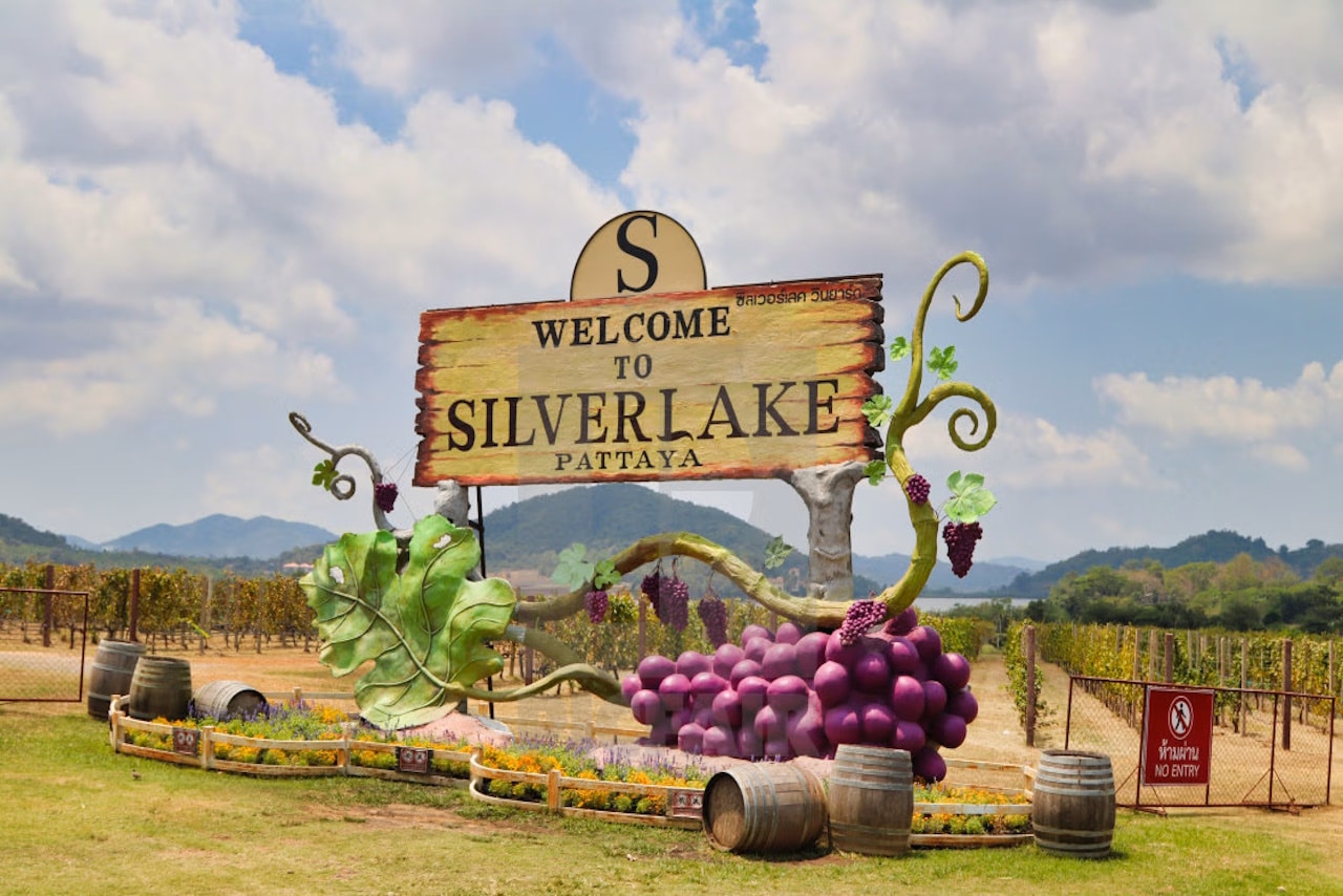 Silverlake Vineyard Pattaya